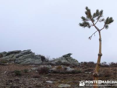 Senderismo Sierra Alto Rey;turismo rural;actividades turismo;escapada fin de semana